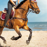 Lumiere 'Vida' Bridge Breastplate